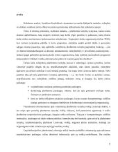 Įdarbinimo veiklos teisinio reguliavimo ypatumai 2 puslapis