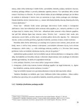 Įdarbinimo veiklos teisinio reguliavimo ypatumai 16 puslapis