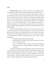 Įdarbinimo veiklos teisiniai reguliavimo ypatumai bei jo tobulinimo galimybės 2 puslapis