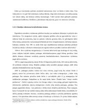 Įdarbinimo veiklos teisiniai reguliavimo ypatumai bei jo tobulinimo galimybės 15 puslapis