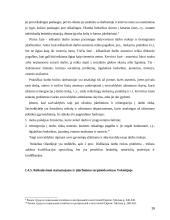 Įdarbinimo veiklos teisiniai reguliavimo ypatumai bei jo tobulinimo galimybės 16 puslapis