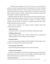 Įdarbinimo veiklos teisiniai reguliavimo ypatumai bei jo tobulinimo galimybės 17 puslapis