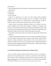 Įdarbinimo veiklos teisiniai reguliavimo ypatumai bei jo tobulinimo galimybės 19 puslapis