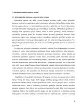 Įdarbinimo veiklos teisiniai reguliavimo ypatumai bei jo tobulinimo galimybės 4 puslapis