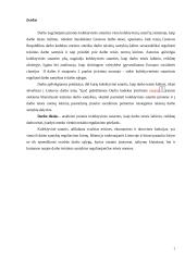 Įmonės kolektyvinės sutarties vieta sutarčių sistemoje 2 puslapis