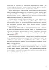 Įmonės kolektyvinės sutarties vieta sutarčių sistemoje 19 puslapis