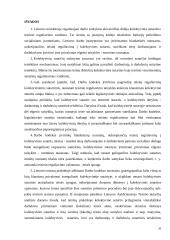 Įmonės kolektyvinės sutarties vieta sutarčių sistemoje 20 puslapis