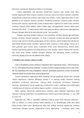 Įmonės kolektyvinės sutarties vieta sutarčių sistemoje 9 puslapis