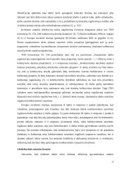 Įmonės kolektyvinės sutarties vieta sutarčių sistemoje 10 puslapis