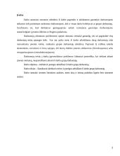 Darbdavio pareigos atleidžiant iš darbo grupę darbuotojų 2 puslapis