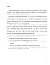 Naikinamieji ir kiti terminai 2 puslapis