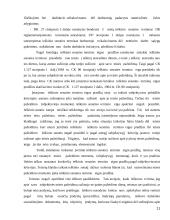 Naikinamieji ir kiti terminai 11 puslapis