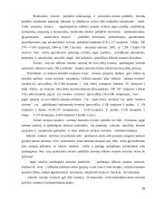 Naikinamieji ir kiti terminai 15 puslapis