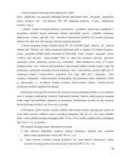 Naikinamieji ir kiti terminai 16 puslapis