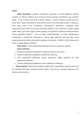 Nepilnamečių įdarbinimo teoriniai ir praktiniai aspektai 2 puslapis