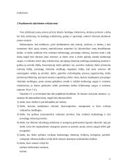 Nepilnamečių įdarbinimo teoriniai ir praktiniai aspektai 15 puslapis