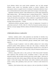 Nepilnamečių įdarbinimo teoriniai ir praktiniai aspektai 19 puslapis