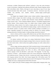 Slaugos kokybės įvertinimas 11 puslapis