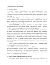 Slaugos kokybės įvertinimas 4 puslapis