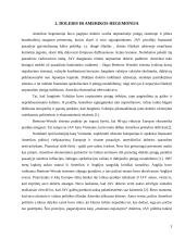 Jungtinių Amerikos Valstijų (JAV) doleris ir tarptautiniai ekonominiai ryšiai 3 puslapis