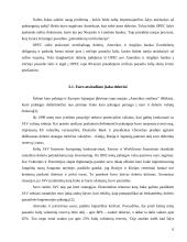 Jungtinių Amerikos Valstijų (JAV) doleris ir tarptautiniai ekonominiai ryšiai 6 puslapis