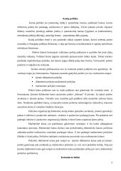 Kainų politika, kainodaros būdai bei procesas 3 puslapis