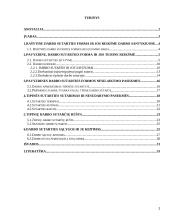 Tipinė darbo sutartis. Kursinis darbas 1 puslapis