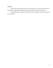 Tipinė darbo sutartis. Kursinis darbas 2 puslapis