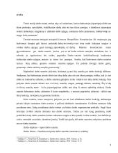 Tipinė darbo sutartis. Kursinis darbas 3 puslapis