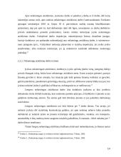 Žalos atlyginimas sužalojus sveikatą. Kursinis darbas 14 puslapis