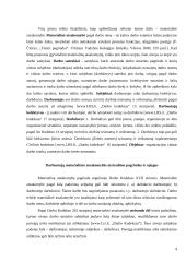 Darbuotojų materialinės atsakomybės draudimas 4 puslapis