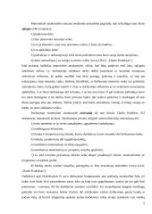 Darbuotojų materialinės atsakomybės draudimas 5 puslapis