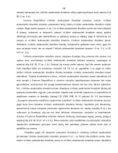 Civilinis atsakomybės draudimas 18 puslapis