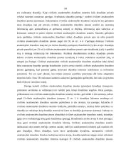 Civilinis atsakomybės draudimas 19 puslapis