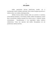 Lietuvių kalbos leksikos klaidos 11 puslapis
