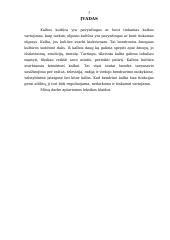 Lietuvių kalbos leksikos klaidos 3 puslapis