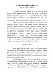 Lietuvių kalbos leksikos klaidos 7 puslapis