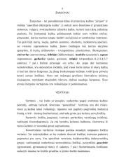 Lietuvių kalbos leksikos klaidos 9 puslapis