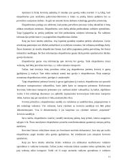 Vežėjų kelių transportu bei ekspeditorių atsakomybės draudimo ypatumai Lietuvoje 12 puslapis