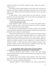 Vežėjų kelių transportu bei ekspeditorių atsakomybės draudimo ypatumai Lietuvoje 13 puslapis