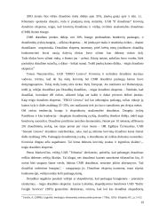 Vežėjų kelių transportu bei ekspeditorių atsakomybės draudimo ypatumai Lietuvoje 20 puslapis