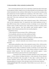 Vežėjų kelių transportu bei ekspeditorių atsakomybės draudimo ypatumai Lietuvoje 5 puslapis