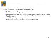 Pinigų politikos modeliai skaidrės 16 puslapis