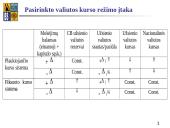 Pinigų politikos modeliai skaidrės 5 puslapis