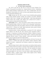 AB Alita kainodaros formavimas 3 puslapis