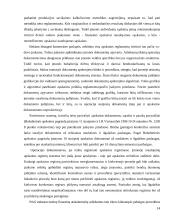 Apskaitos informacija ir jos įtaka įmonės valdymui 14 puslapis