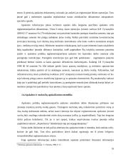 Apskaitos informacija ir jos įtaka įmonės valdymui 16 puslapis