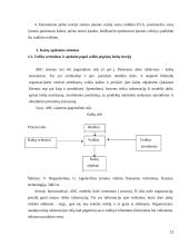 Veiklos sritimis pagristas išlaidų kalkuliavimas. Kursinis darbas 11 puslapis