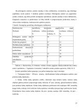 Veiklos sritimis pagristas išlaidų kalkuliavimas. Kursinis darbas 17 puslapis