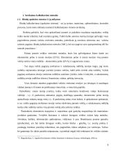 Veiklos sritimis pagristas išlaidų kalkuliavimas. Kursinis darbas 3 puslapis